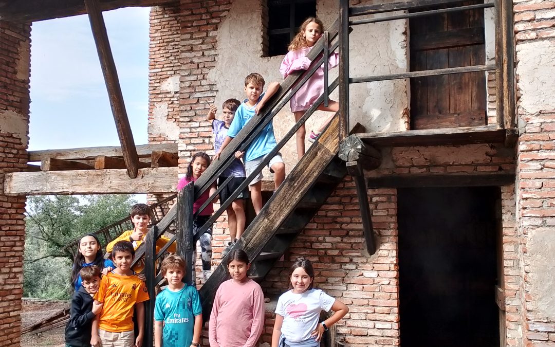 Farm Camp, una experiencia enriquecedora